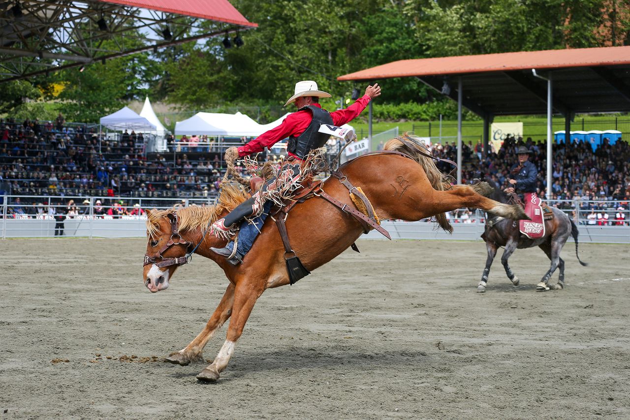 2025 - Pool B Go 2 Winner - Saddle Bronc - Ks Thomson