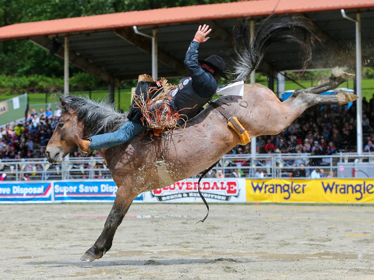 Bareback 101