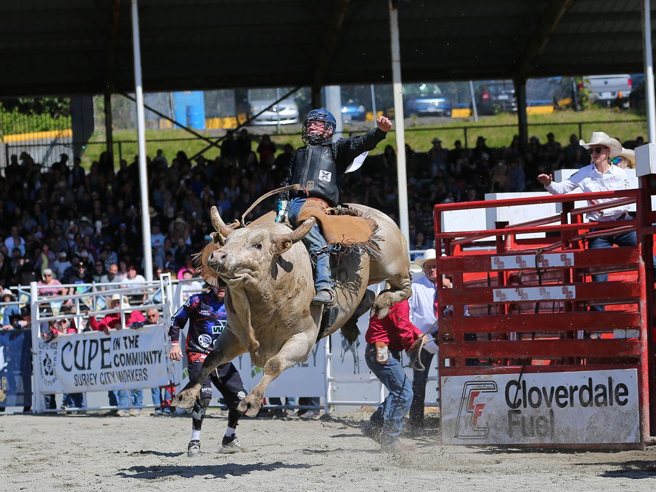 Bull Riding 101