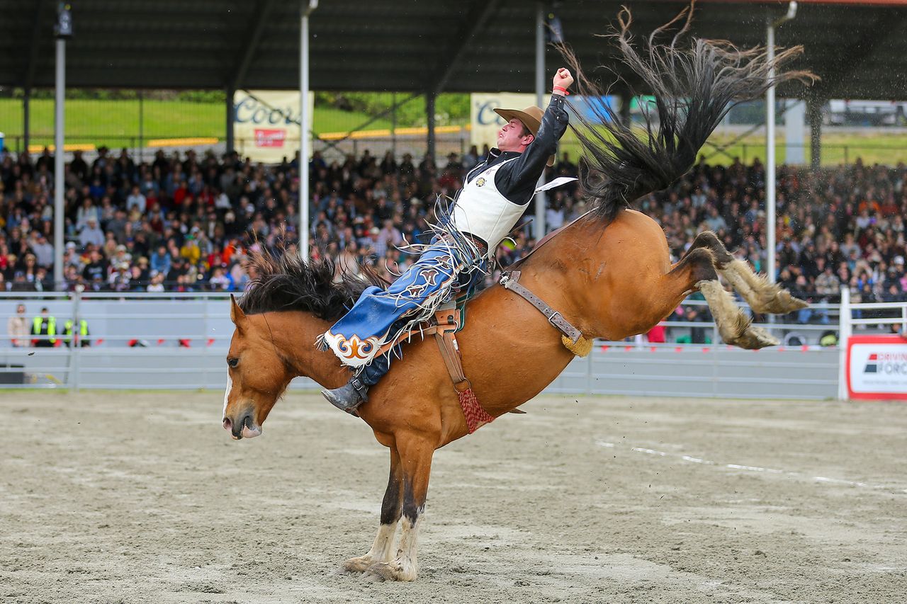 2025 Cloverdale Rodeo - Bareback Champion - Kade Berry - Winning Ride