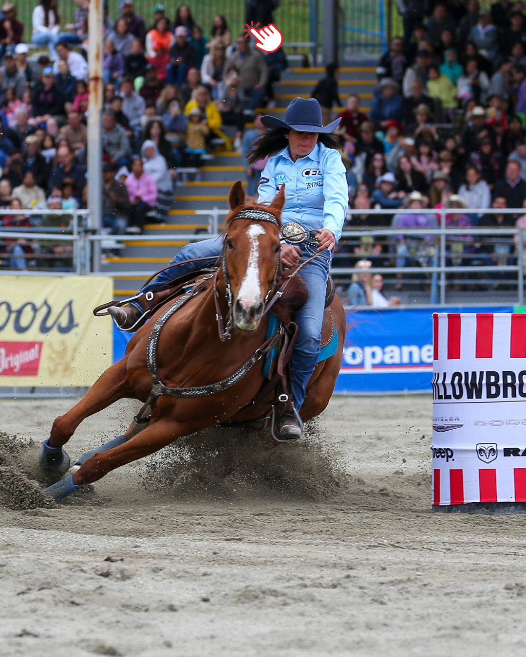Rodeo Performance Tickets
