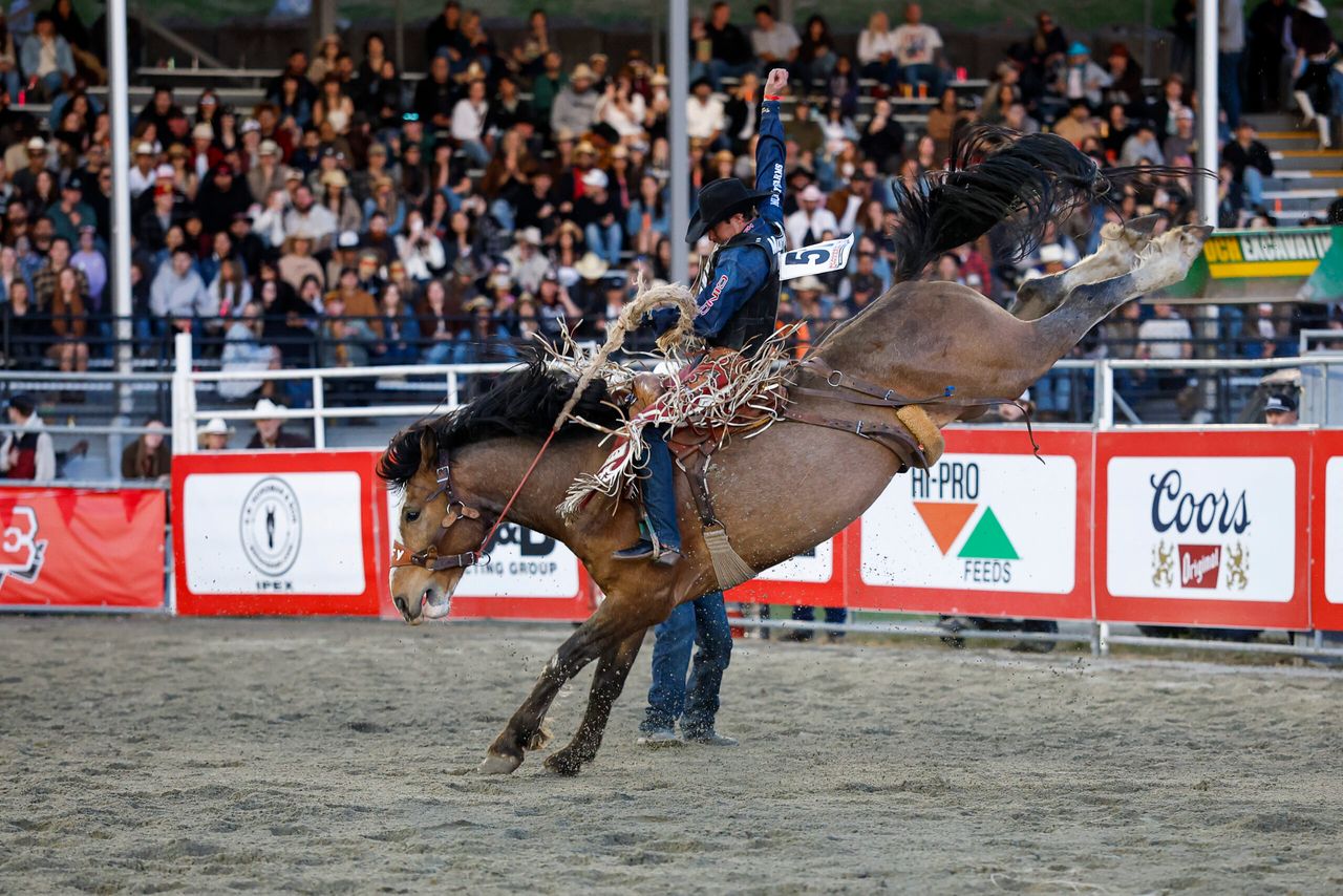 LAYTON GREEN (MILLERVILLE, AB) . 420 BAY MOON Cloverdale Round 2
