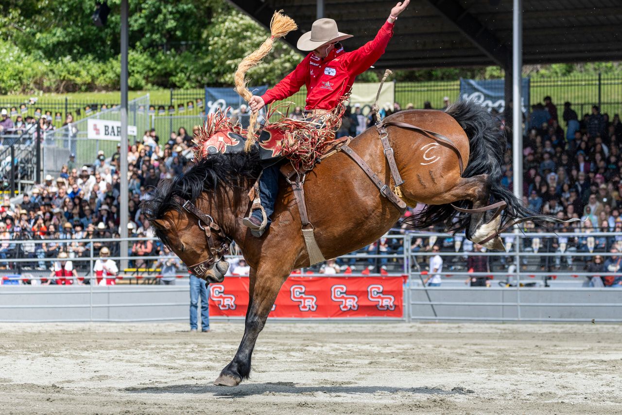 Pool A Go 1 Winner – Saddle Bronc – Jared Parsonage