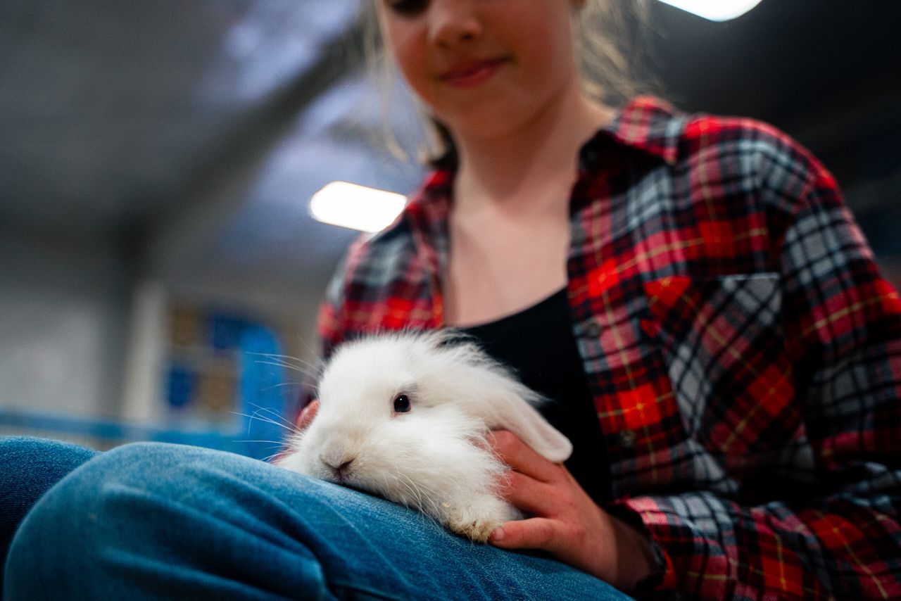 Family interacting with animals at Farm Friendz