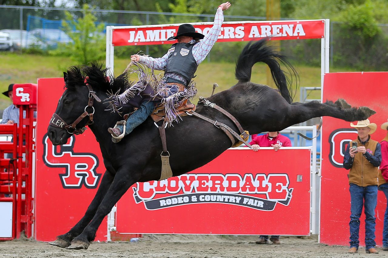 2025 Cloverdale Rodeo - Saddle Bronc Champion - Logan Hay - Winning Ride