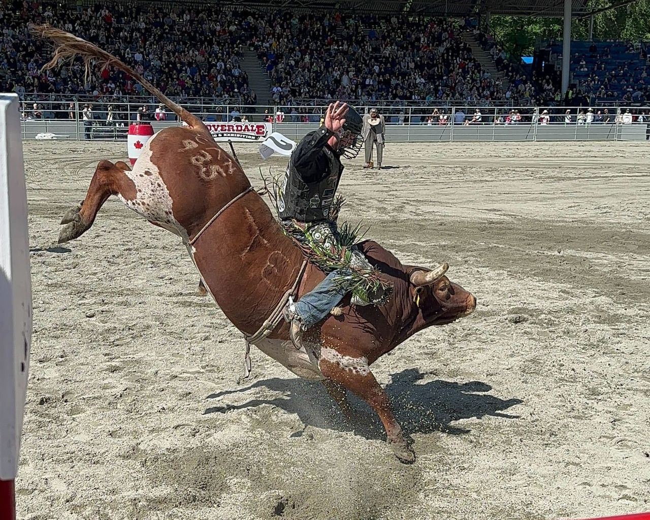 Dakota Buttar on Captain Jack at the 2024 Cloverdale Rodeo Finals